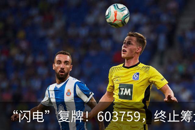 “闪电”复牌！603759，终止筹划重大事项