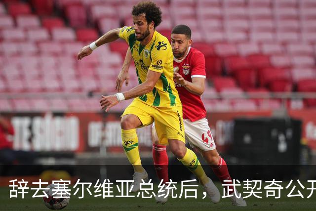 辞去塞尔维亚总统后，武契奇公开作出承诺：不会对俄罗斯实施制裁